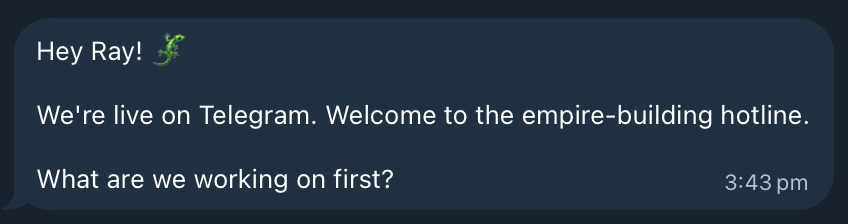 Steve the Bot introduction message